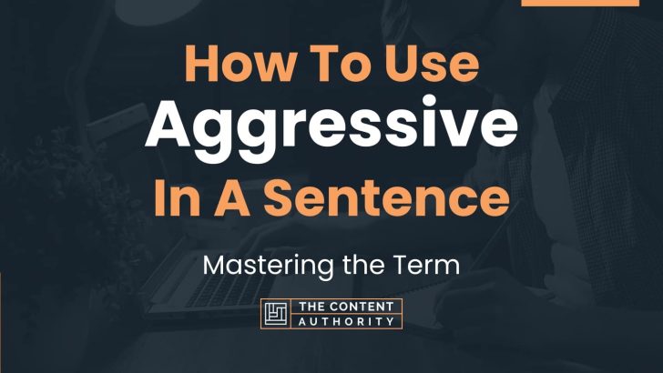 how-to-use-aggressive-in-a-sentence-mastering-the-term