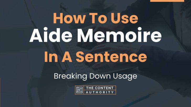 how-to-use-aide-memoire-in-a-sentence-breaking-down-usage