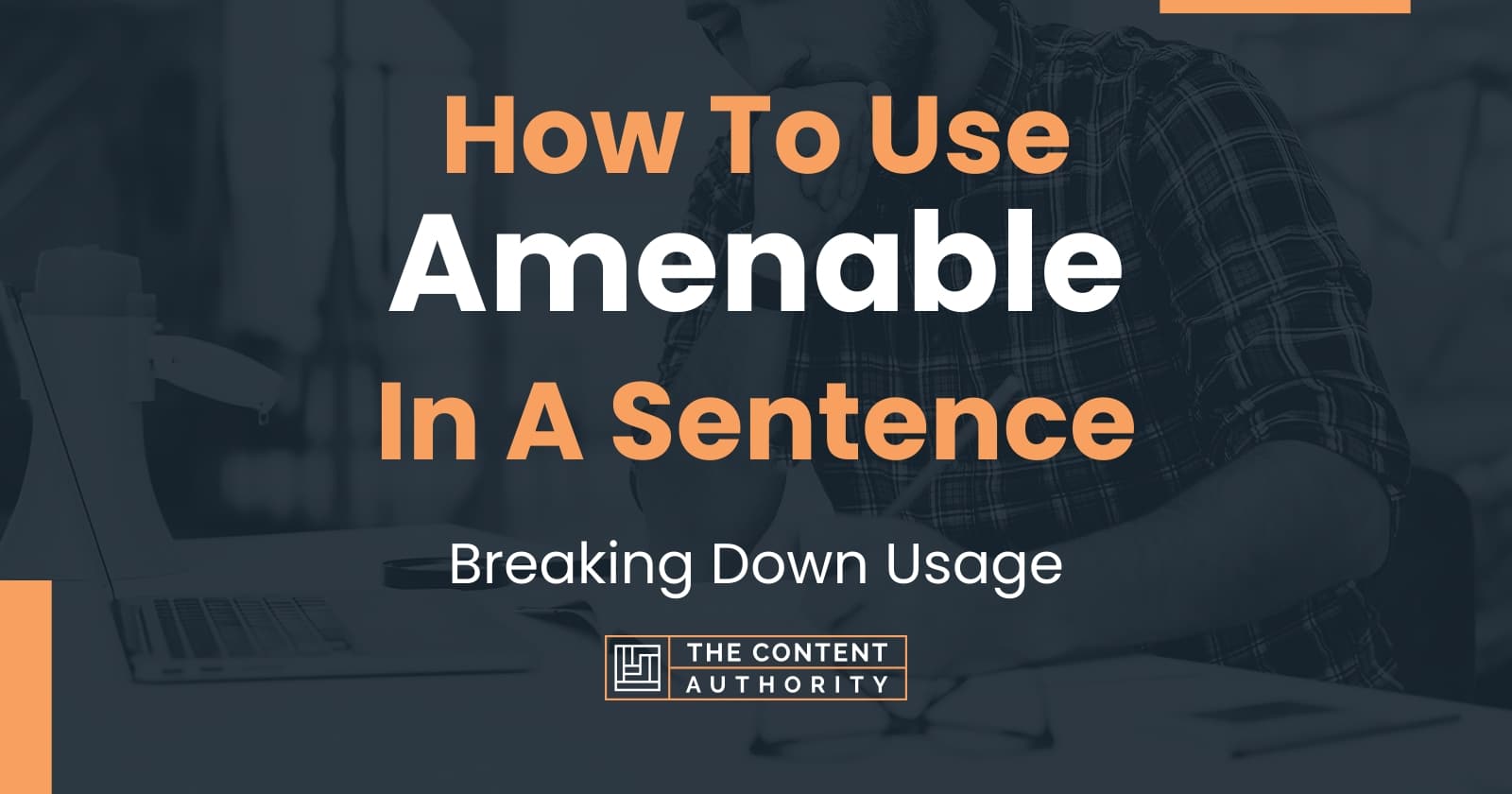 how-to-use-amenable-in-a-sentence-breaking-down-usage