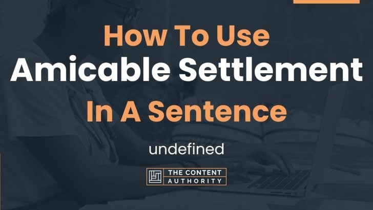 how-to-use-amicable-settlement-in-a-sentence-undefined