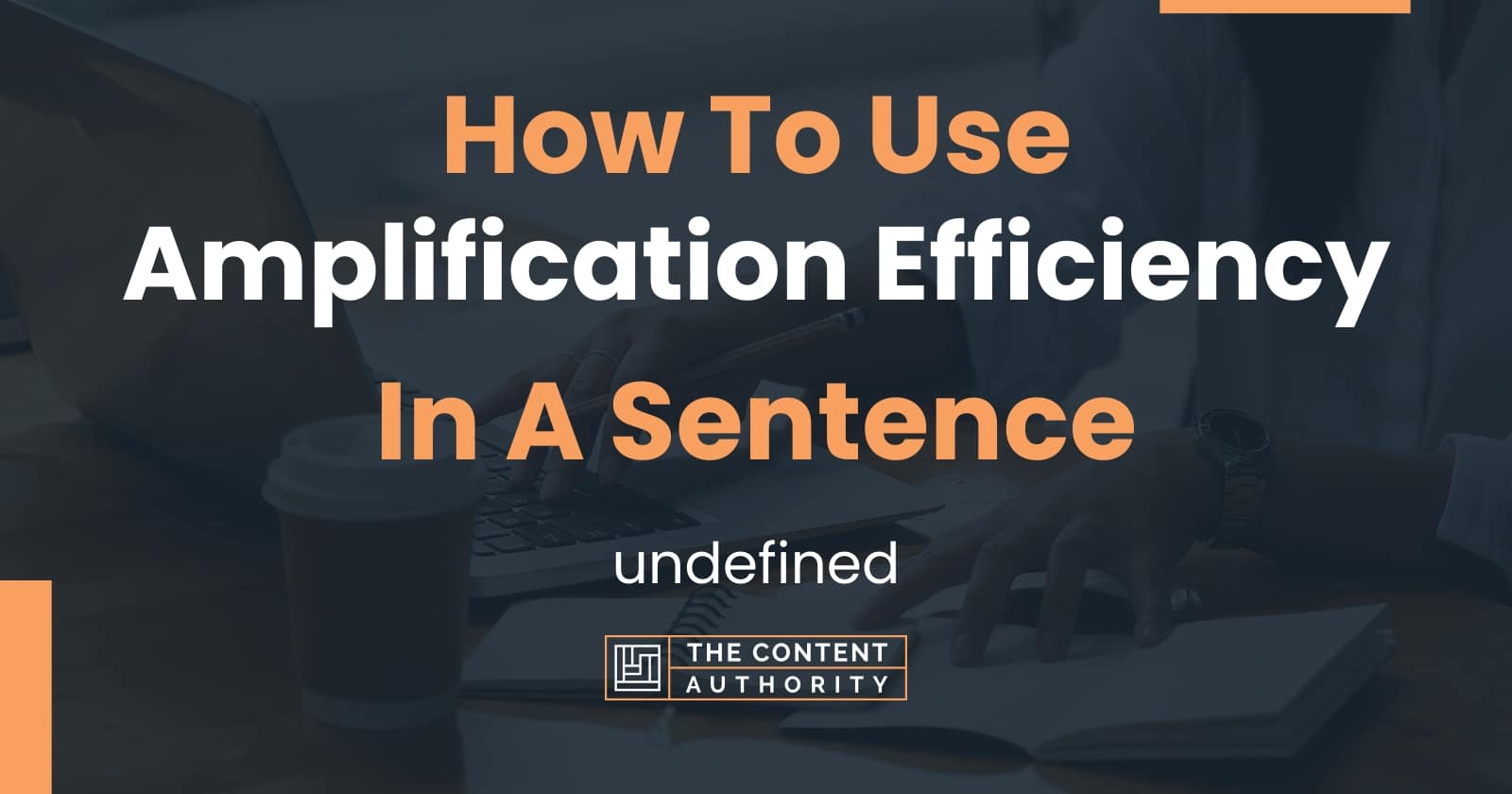 how-to-use-amplification-efficiency-in-a-sentence-undefined