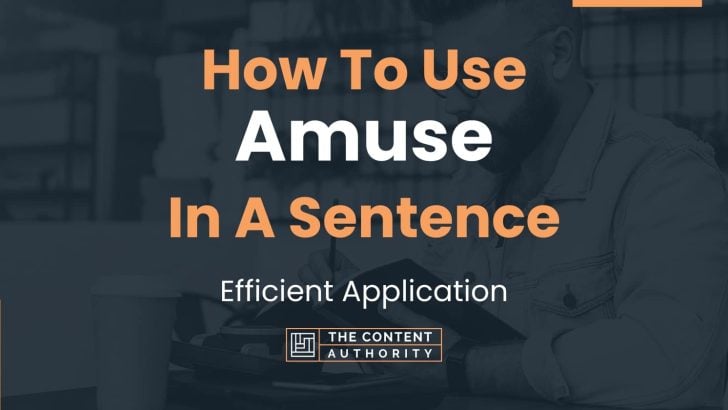 how-to-use-amuse-in-a-sentence-efficient-application