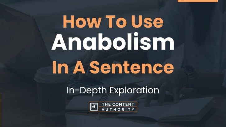How To Use “Anabolism” In A Sentence: In-Depth Exploration