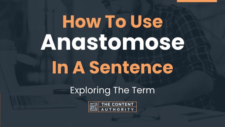 How To Use “Anastomose” In A Sentence: Exploring The Term