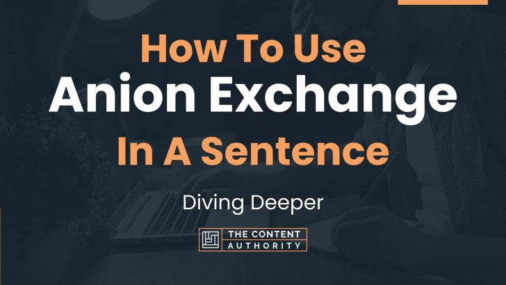 how-to-use-anion-exchange-in-a-sentence-diving-deeper