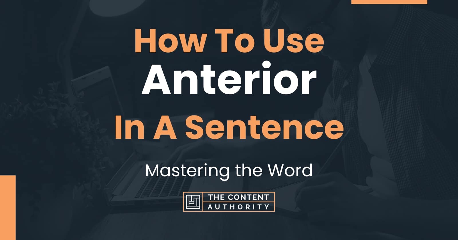 What Does Anterior Mean In English