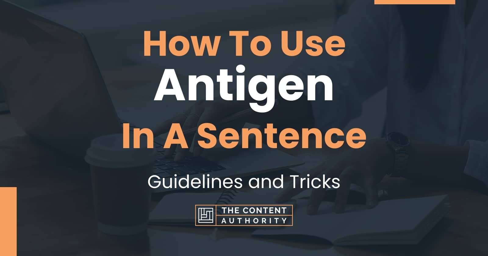 How To Use "Antigen" In A Sentence Guidelines and Tricks