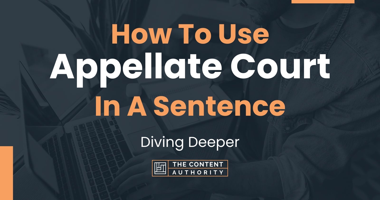 how-to-use-appellate-court-in-a-sentence-diving-deeper