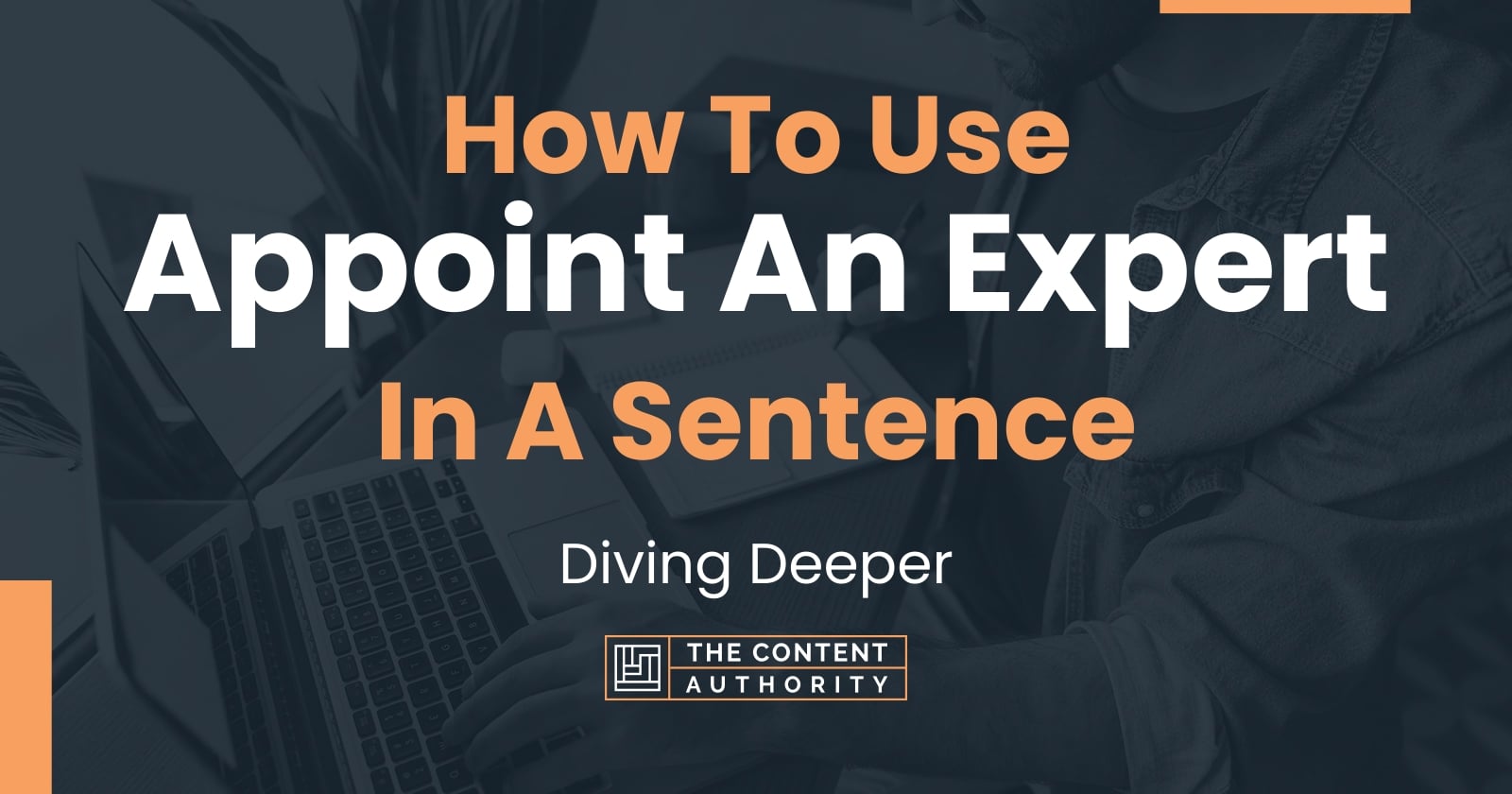 how-to-use-appoint-an-expert-in-a-sentence-diving-deeper