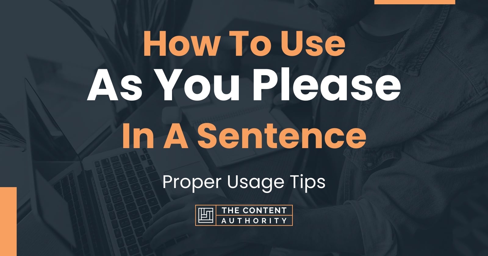 how-to-use-as-you-please-in-a-sentence-proper-usage-tips