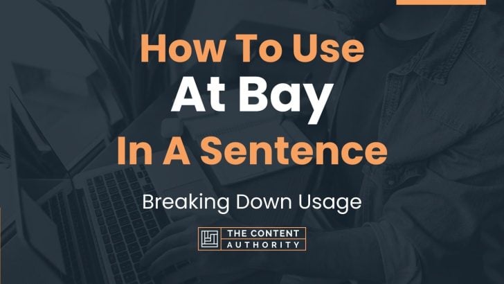 How To Use “At Bay” In A Sentence: Breaking Down Usage