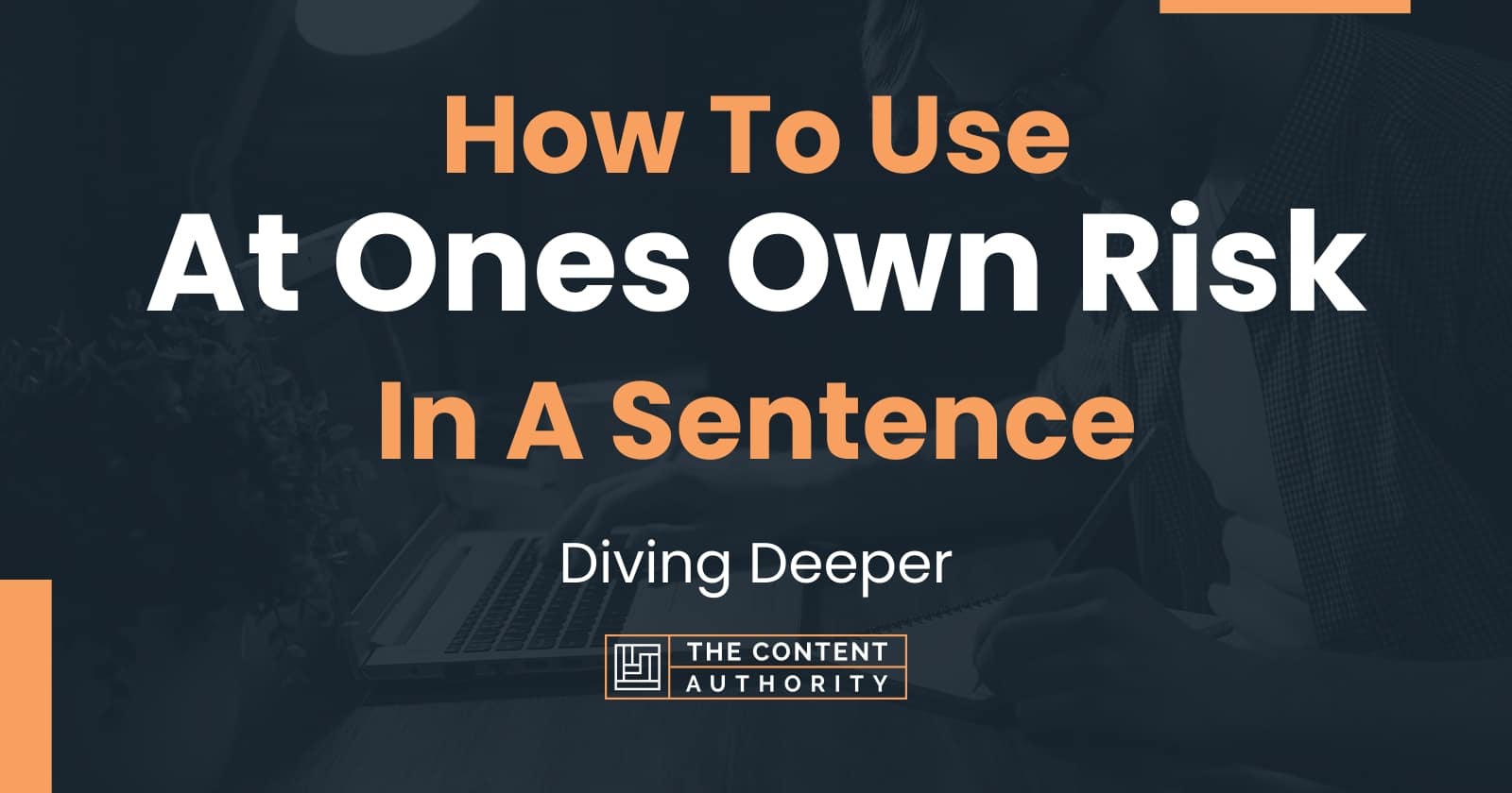 how-to-use-at-ones-own-risk-in-a-sentence-diving-deeper