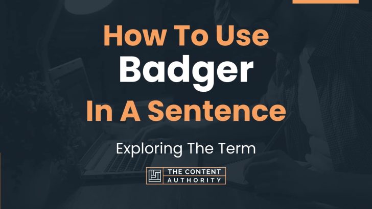 How To Use “Badger” In A Sentence: Exploring The Term