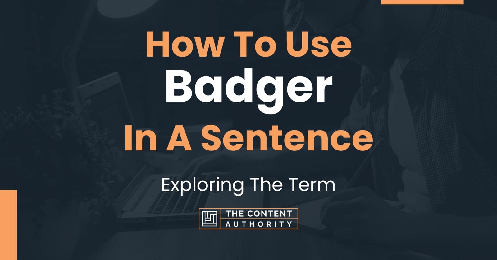 how-to-use-badger-in-a-sentence-exploring-the-term