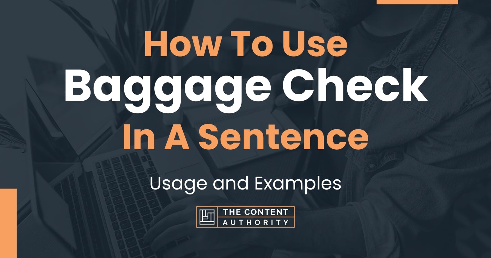 how-to-use-baggage-check-in-a-sentence-usage-and-examples