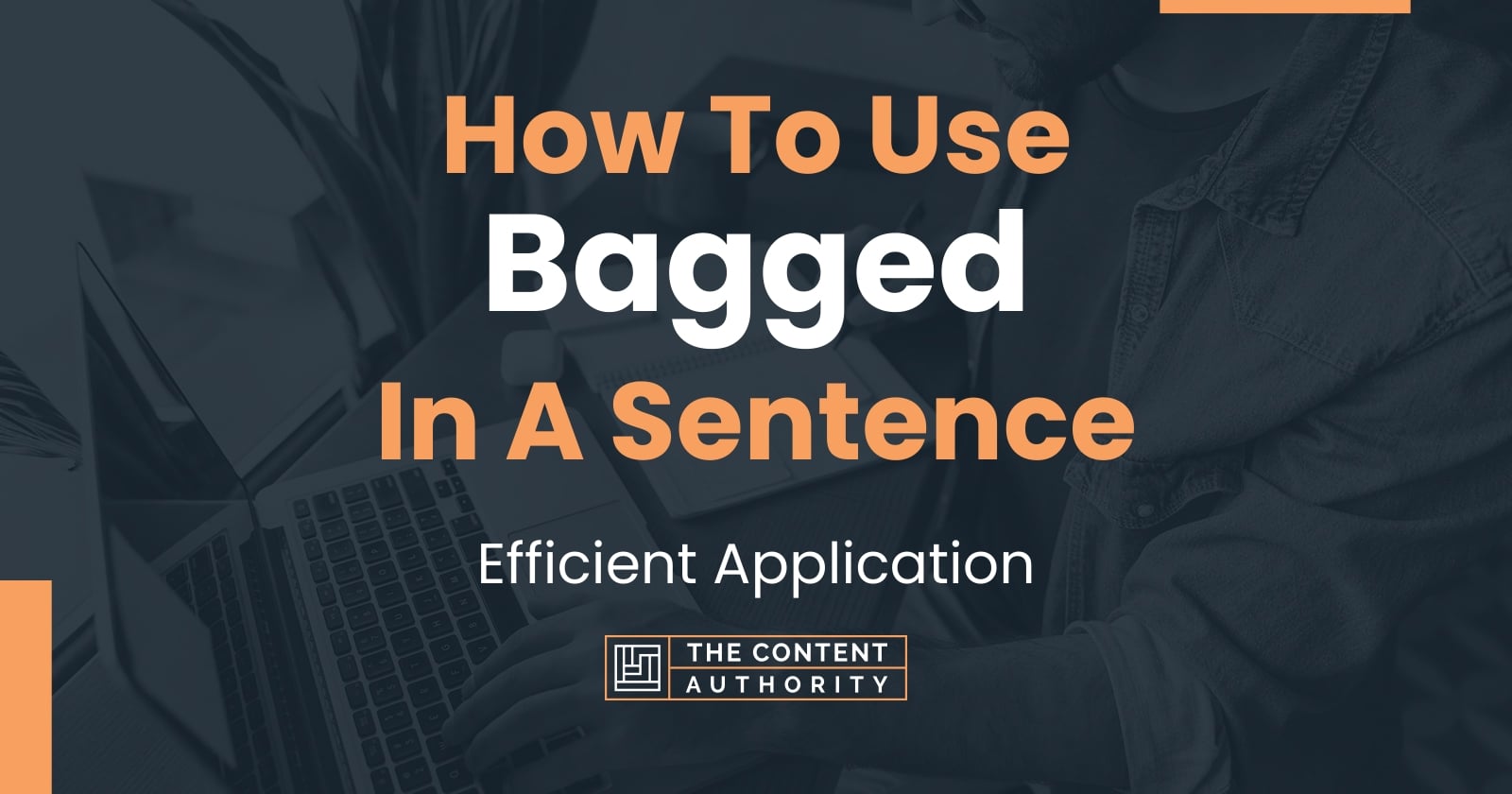 how-to-use-bagged-in-a-sentence-efficient-application