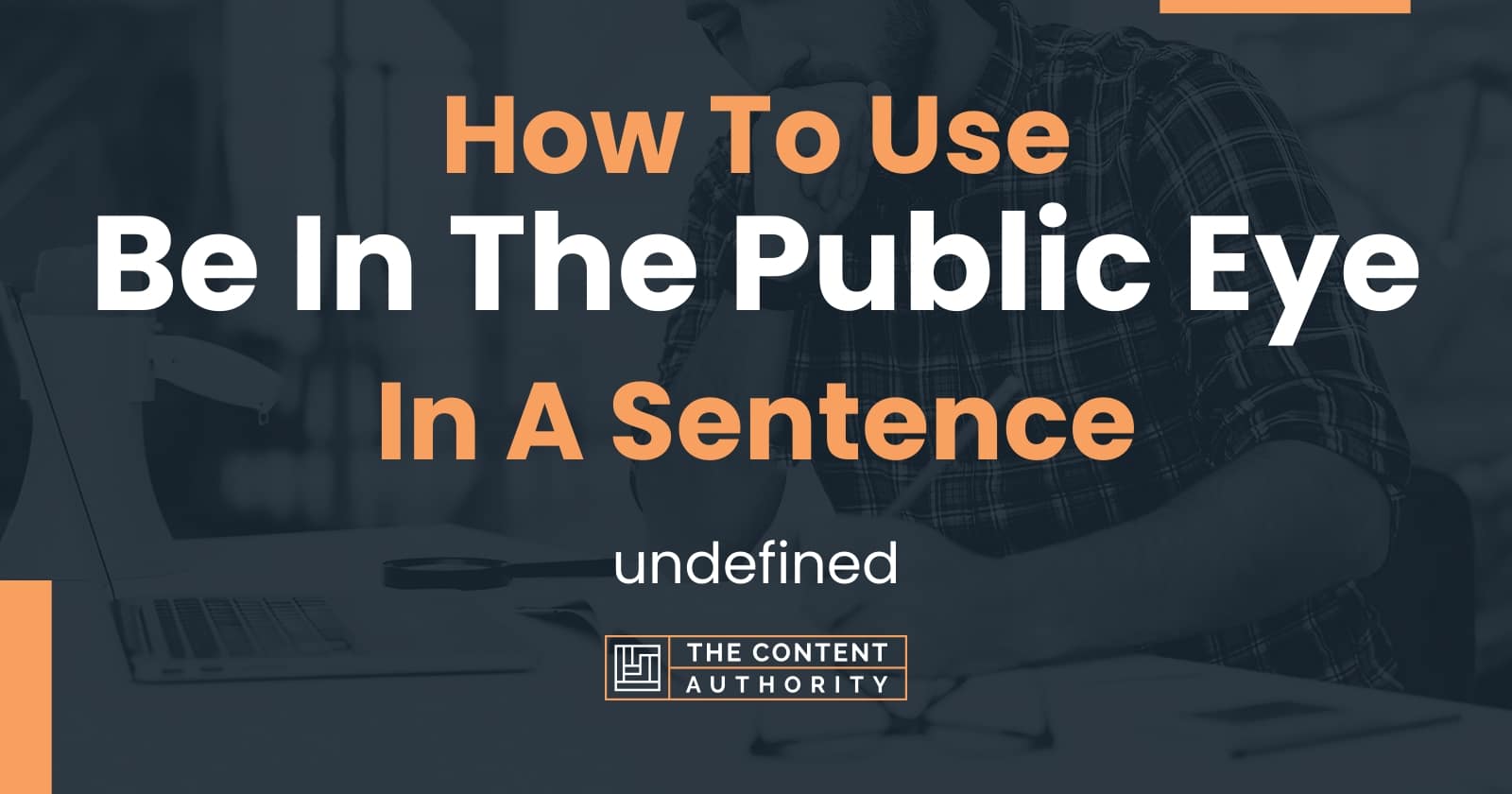 how-to-use-be-in-the-public-eye-in-a-sentence-undefined