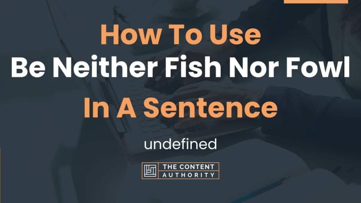 how-to-use-be-neither-fish-nor-fowl-in-a-sentence-undefined