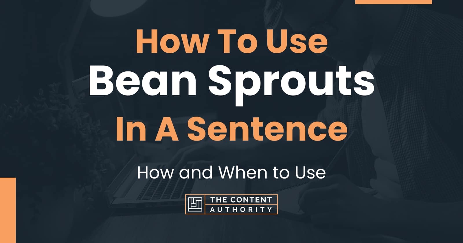 How To Use "Bean Sprouts" In A Sentence How and When to Use
