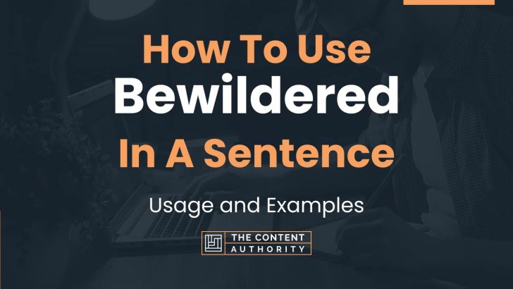 How To Use “Bewildered” In A Sentence: Usage and Examples