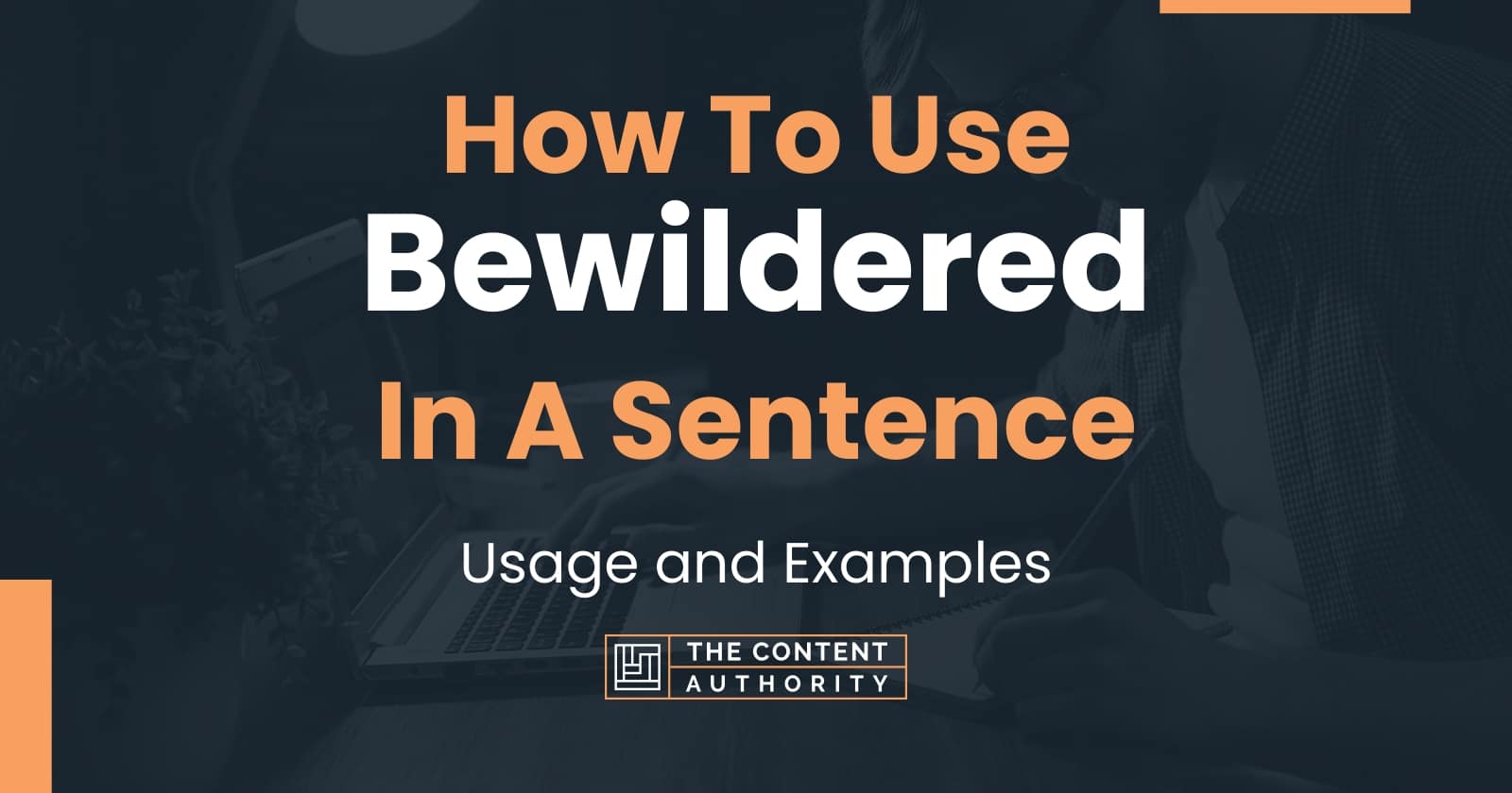 Use Bewildered In A Sentence