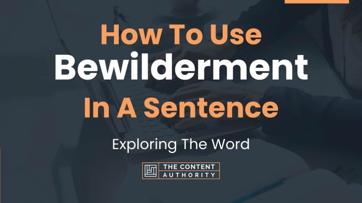 How To Use “Bewilderment” In A Sentence: Exploring The Word
