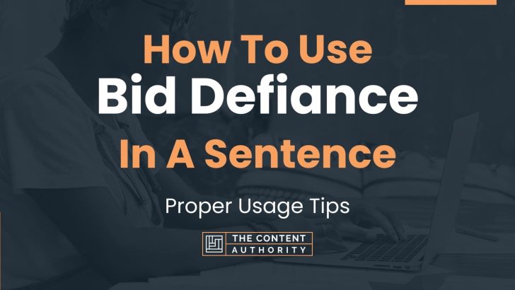 how-to-use-bid-defiance-in-a-sentence-proper-usage-tips