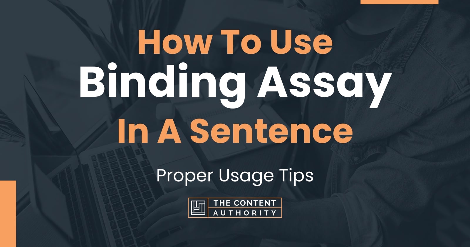 How To Use "Binding Assay" In A Sentence Proper Usage Tips