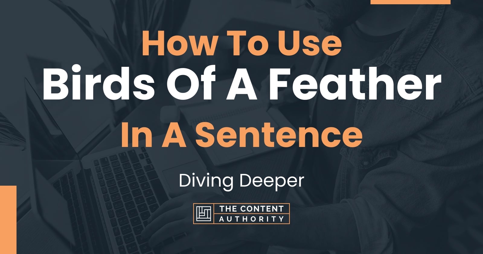 How To Use "Birds Of A Feather" In A Sentence: Diving Deeper