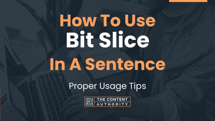 How To Use Bit Slice In A Sentence Proper Usage Tips spanish-gender-agreement-essentials-my-spanish-dictionary