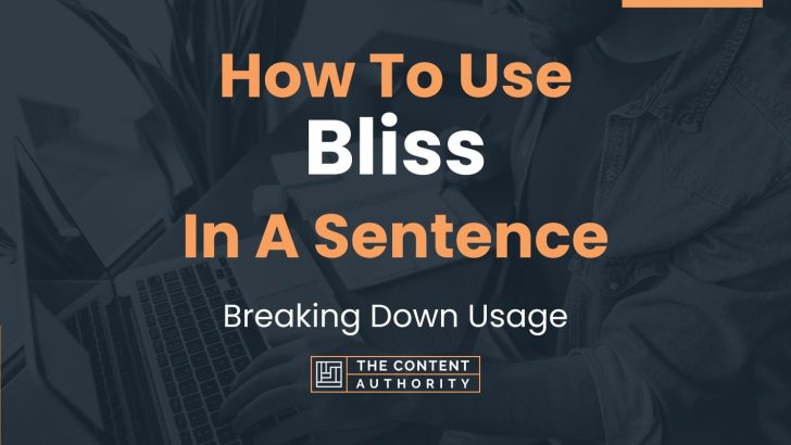 how-to-use-bliss-in-a-sentence-breaking-down-usage