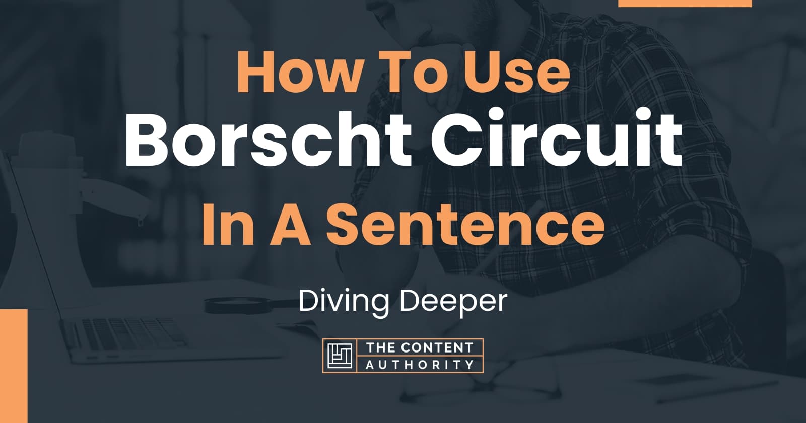 how-to-use-borscht-circuit-in-a-sentence-diving-deeper