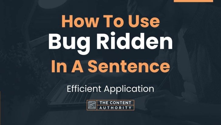 how-to-use-bug-ridden-in-a-sentence-efficient-application