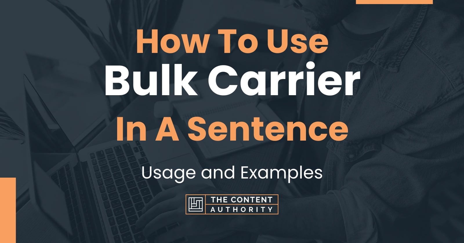 how-to-use-bulk-carrier-in-a-sentence-usage-and-examples