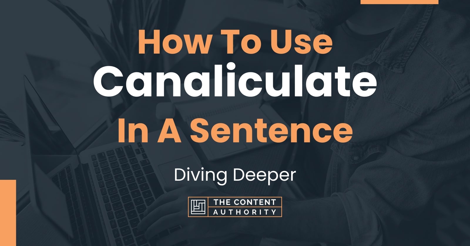 how-to-use-canaliculate-in-a-sentence-diving-deeper