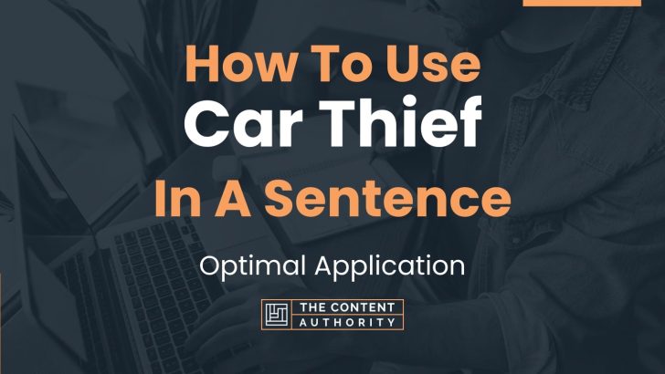 how-to-use-car-thief-in-a-sentence-optimal-application