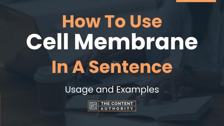 How To Use “Cell Membrane” In A Sentence: Usage and Examples