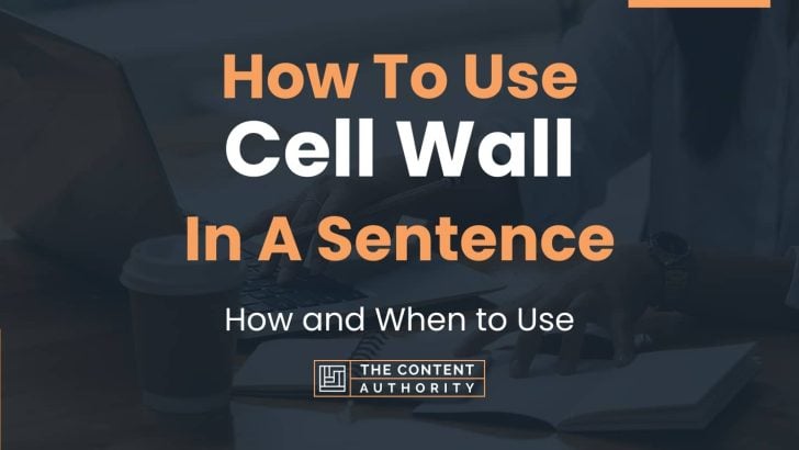 How To Use “Cell Wall” In A Sentence: How and When to Use