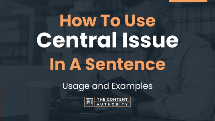 how-to-use-central-issue-in-a-sentence-usage-and-examples