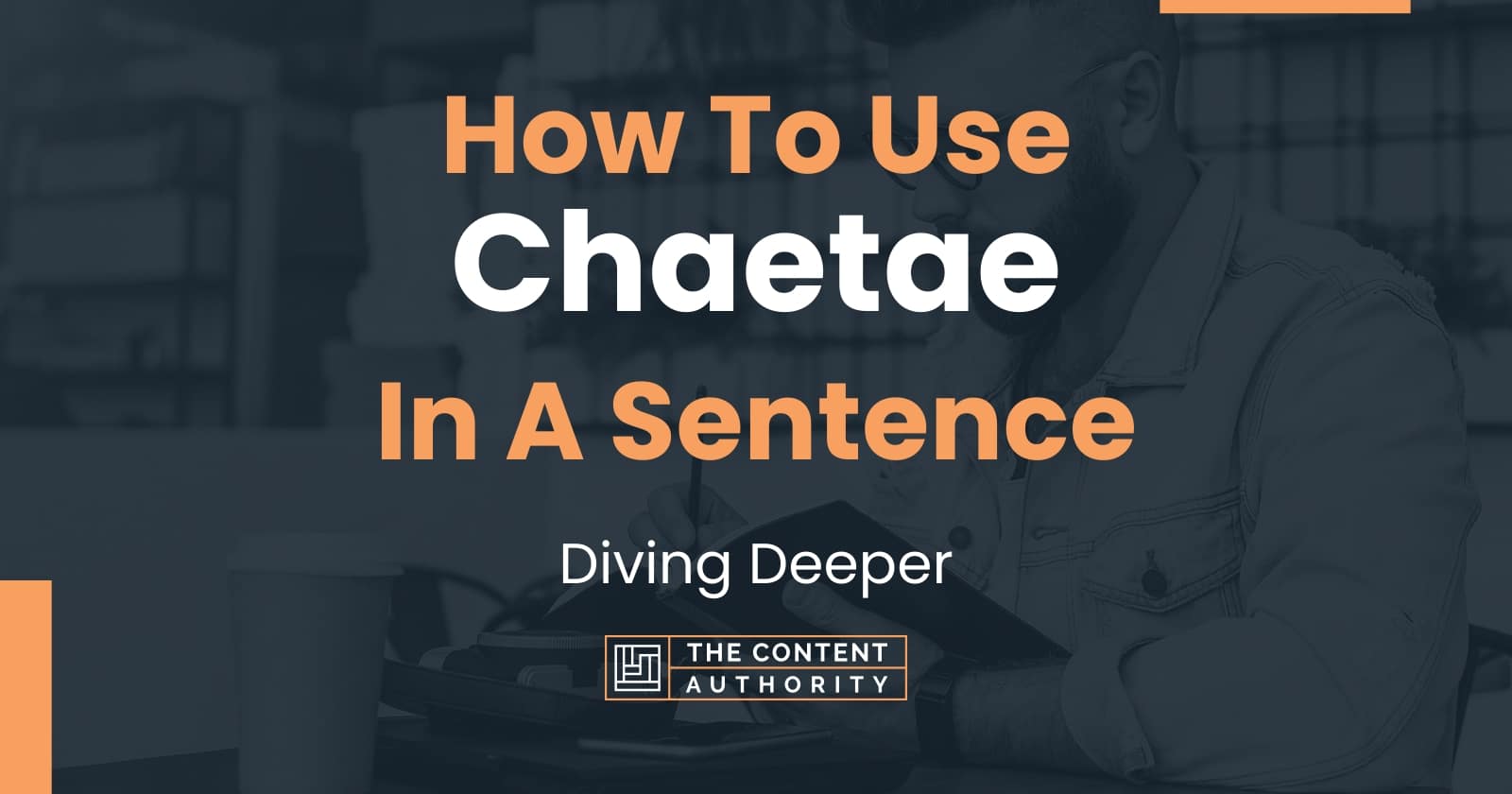 how-to-use-chaetae-in-a-sentence-diving-deeper