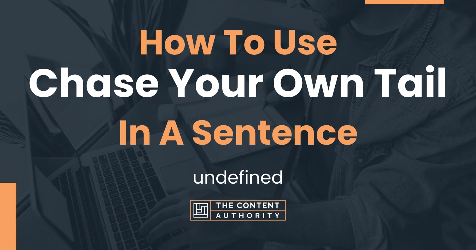 how-to-use-chase-your-own-tail-in-a-sentence-undefined