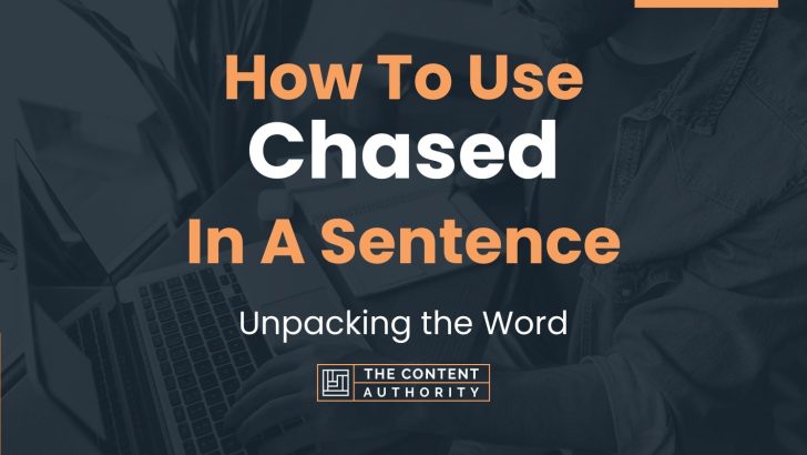 How To Use Chased In A Sentence Unpacking The Word