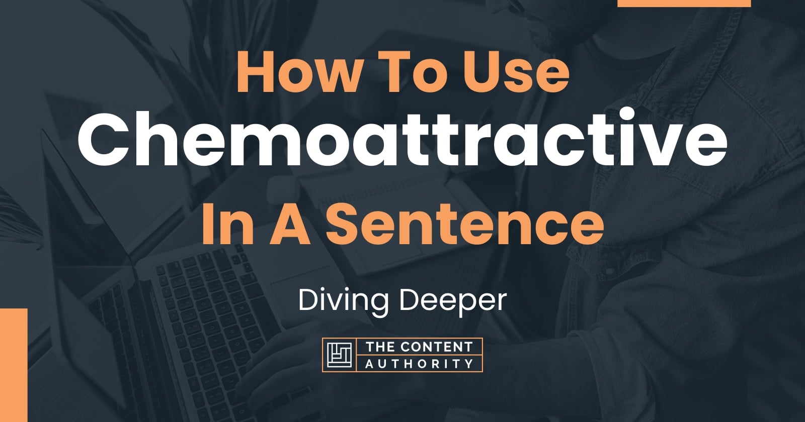 How To Use Chemoattractive In A Sentence Diving Deeper