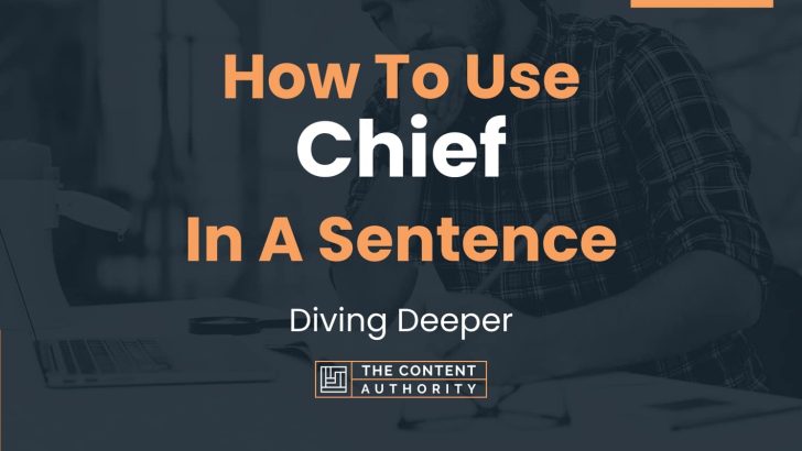 how-to-use-chief-in-a-sentence-diving-deeper