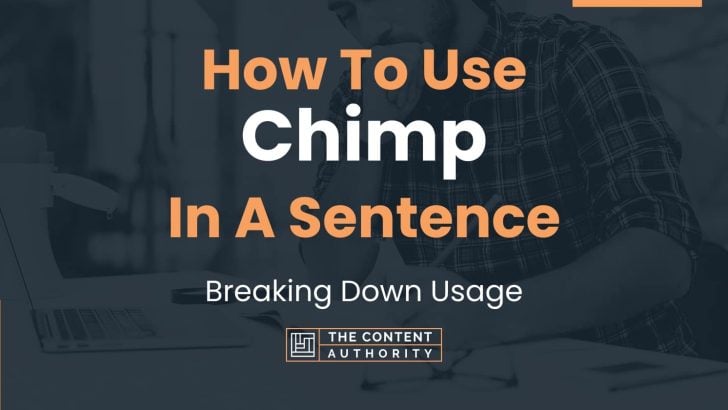 How To Use Chimp In A Sentence Breaking Down Usage   How To Use Chimp In A Sentence 728x410 