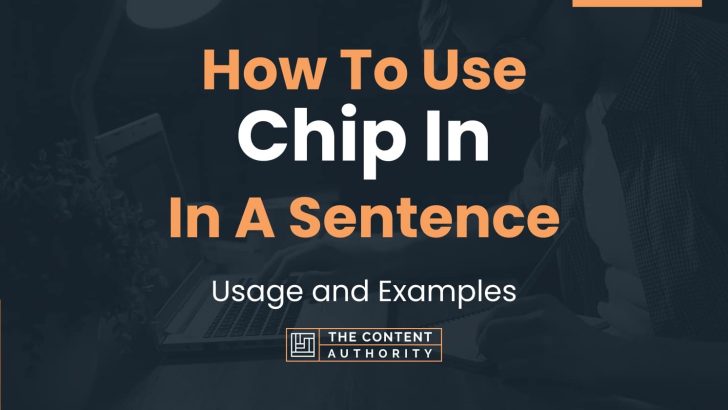How To Use “Chip In” In A Sentence: Usage and Examples