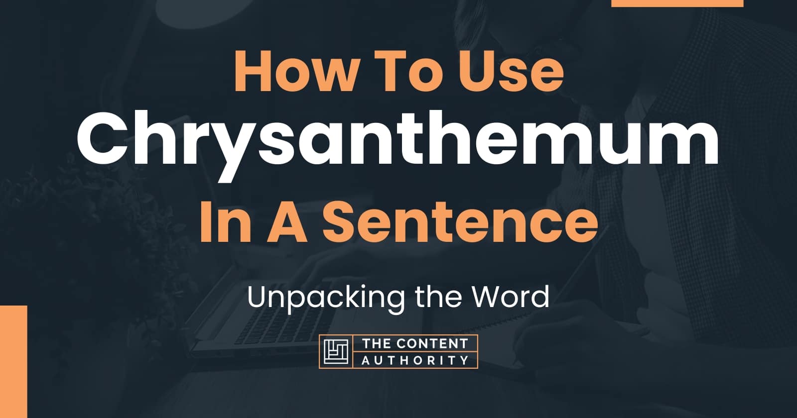 How To Use "Chrysanthemum" In A Sentence Unpacking the Word