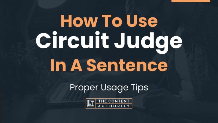 how-to-use-circuit-judge-in-a-sentence-proper-usage-tips