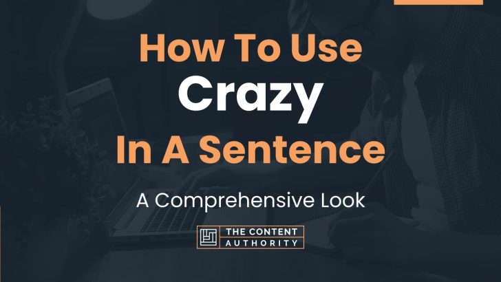 How To Use Crazy In A Sentence A Comprehensive Look