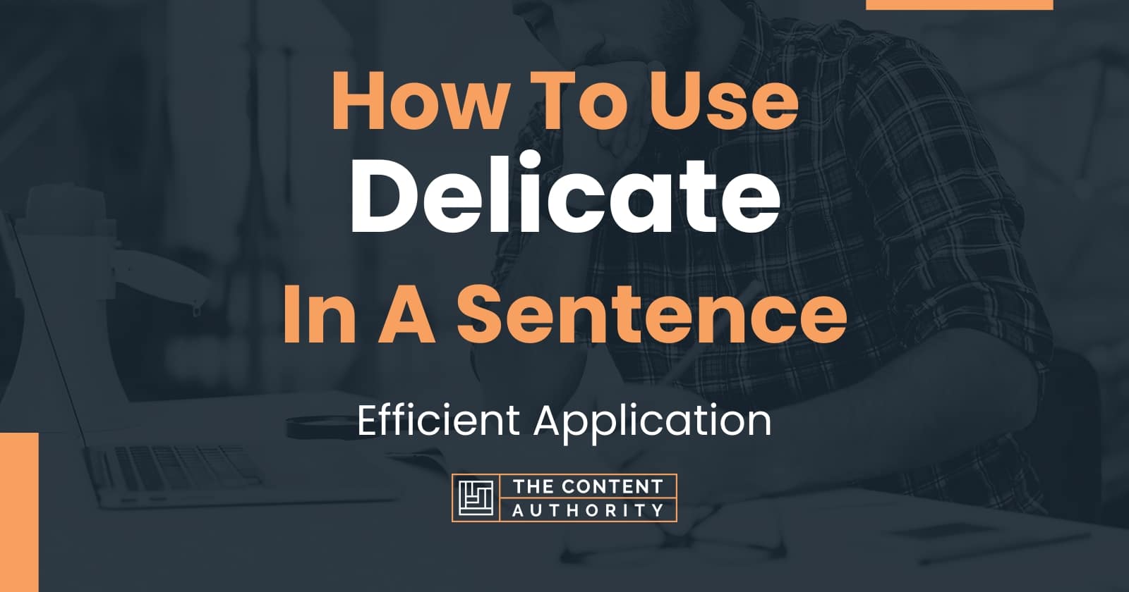 how-to-use-delicate-in-a-sentence-efficient-application